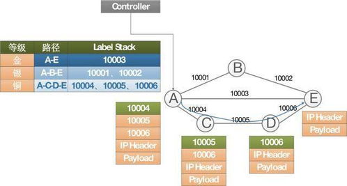 新型網絡技術對網絡信息體系的影響研究